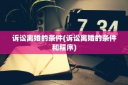 诉讼离婚的条件(诉讼离婚的条件和程序)