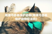 用弹弓击杀保护动物(用弹弓击杀保护动物犯法吗)