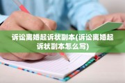 诉讼离婚起诉状副本(诉讼离婚起诉状副本怎么写)