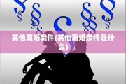 其他离婚条件(其他离婚条件是什么)