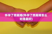 怀孕了想离婚(怀孕了想离婚怎么处理最好)