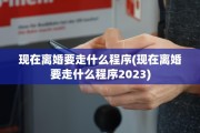 现在离婚要走什么程序(现在离婚要走什么程序2023)