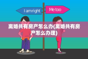 离婚共有房产怎么办(离婚共有房产怎么办理)