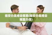 临安办离婚去哪里(临安办离婚去哪里办理)