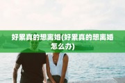 好累真的想离婚(好累真的想离婚怎么办)