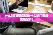 什么部门调解离婚(什么部门调解离婚案件)