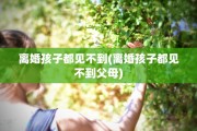 离婚孩子都见不到(离婚孩子都见不到父母)