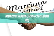 没协议怎么离婚(没协议怎么离婚呢)