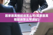因家暴离婚起诉怎么写(因家暴离婚起诉怎么写诉状)