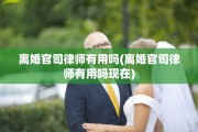 离婚官司律师有用吗(离婚官司律师有用吗现在)