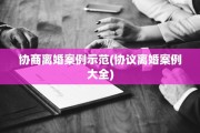 协商离婚案例示范(协议离婚案例大全)