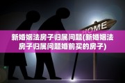 新婚姻法房子归属问题(新婚姻法房子归属问题婚前买的房子)