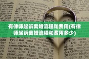 有律师起诉离婚流程和费用(有律师起诉离婚流程和费用多少)