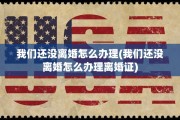 我们还没离婚怎么办理(我们还没离婚怎么办理离婚证)