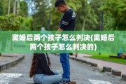 离婚后两个孩子怎么判决(离婚后两个孩子怎么判决的)