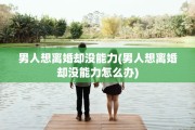 男人想离婚却没能力(男人想离婚却没能力怎么办)