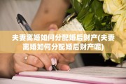 夫妻离婚如何分配婚后财产(夫妻离婚如何分配婚后财产呢)