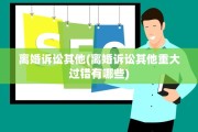 离婚诉讼其他(离婚诉讼其他重大过错有哪些)