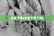 北京下雪(北京下雪了吗)