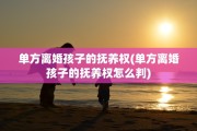 单方离婚孩子的抚养权(单方离婚孩子的抚养权怎么判)
