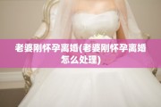 老婆刚怀孕离婚(老婆刚怀孕离婚怎么处理)