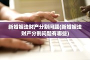 新婚姻法财产分割问题(新婚姻法财产分割问题有哪些)