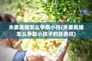 夫妻离婚怎么争取小孩(夫妻离婚怎么争取小孩子的抚养权) 夫妻离婚怎么争取小孩(夫妻离婚怎么争取小孩子的抚养权)