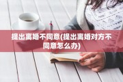 提出离婚不同意(提出离婚对方不同意怎么办)