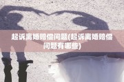 起诉离婚赔偿问题(起诉离婚赔偿问题有哪些)