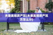 夫妻离婚房产双(夫妻离婚房产双方怎么分)