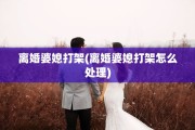 离婚婆媳打架(离婚婆媳打架怎么处理)