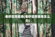 老吵架想离婚(老吵架想离婚怎么办)