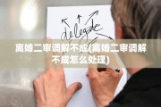 离婚二审调解不成(离婚二审调解不成怎么处理)