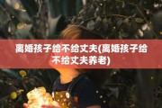 离婚孩子给不给丈夫(离婚孩子给不给丈夫养老)
