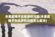 夫妻离婚子女抚养权问题(夫妻离婚子女抚养权问题怎么解决)