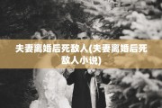 夫妻离婚后死敌人(夫妻离婚后死敌人小说)