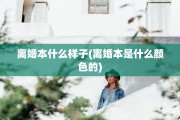 离婚本什么样子(离婚本是什么颜色的)