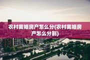 农村离婚房产怎么分(农村离婚房产怎么分割)
