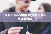 夫妻三观不合要离婚(夫妻三观不合要离婚吗)