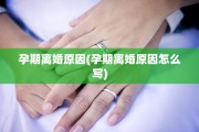 孕期离婚原因(孕期离婚原因怎么写)
