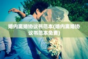 婚内离婚协议书范本(婚内离婚协议书范本免费)