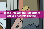 离婚孩子抚养权的判定原则(协议离婚孩子抚养权的判定原则)