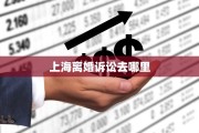 上海离婚诉讼去哪里
