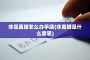 非是离婚怎么办手续(非离婚是什么意思)