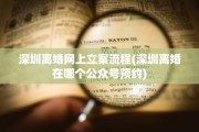 深圳离婚网上立案流程(深圳离婚在哪个公众号预约)