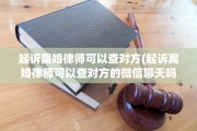 起诉离婚律师可以查对方(起诉离婚律师可以查对方的微信聊天吗)