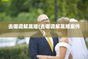 去哪调解离婚(去哪调解离婚案件)