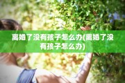 离婚了没有孩子怎么办(离婚了没有孩子怎么办)