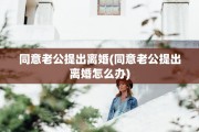同意老公提出离婚(同意老公提出离婚怎么办)