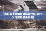 农村房子父母离婚怎么分配(农村父母离婚房子归谁)